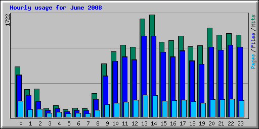 Hourly usage for June 2008